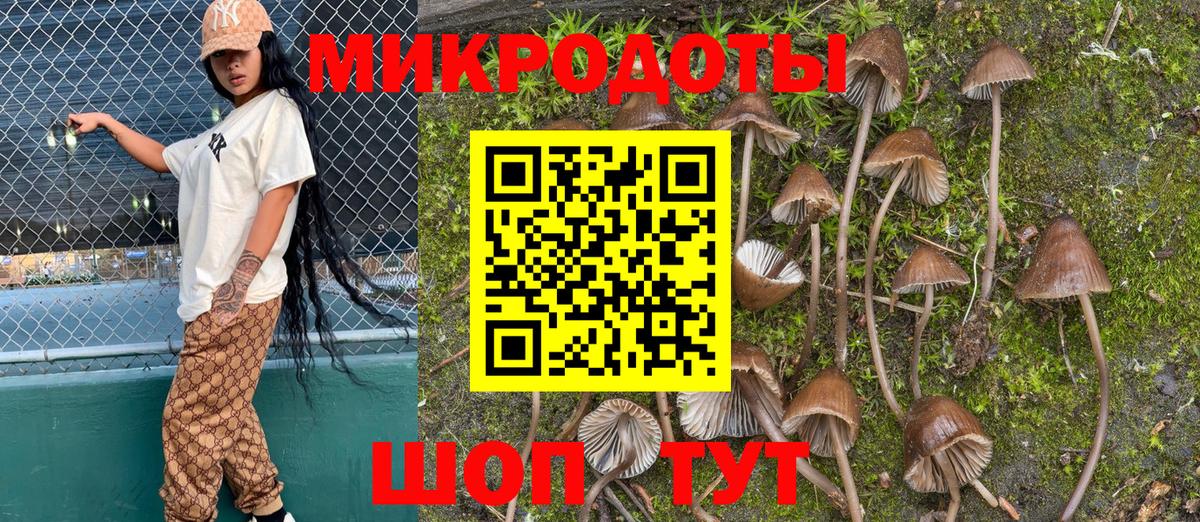 Псилоцибиновые грибы Magic Shrooms Асбест